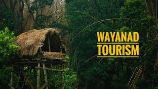 Wayanad tourism  Documentary  Tourist attractions and stories [upl. by Oilla]